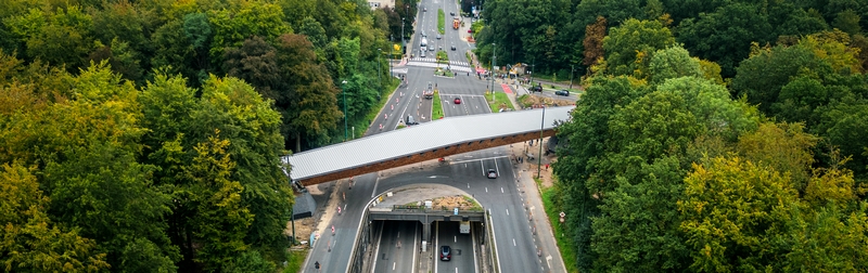 Passerelle des Quatre Bras de Tervueren