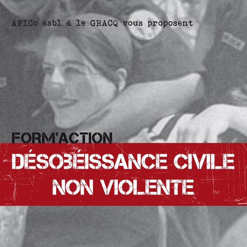 Critique Violente Et Amere 8 Lettres Ateliers Désobéissance civile non violente - 3/3 | GRACQ